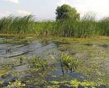 Investment 736ha land for tourism, aquaculture & agriculture in the Danube Delta, Romania, Europe. 