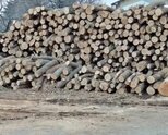 Предлагам дърва за огрев на метър