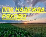 ППК НАДЕЖДА РЯХОВО