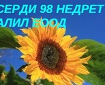Серди 98 Недрет Алил
