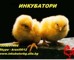 Предлагаме инкубатори за люпене на яйца 