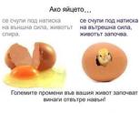 Инкубатори 8-вида автоматични и 8-вида полуавтоматични !!!
