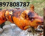 Търсите прасенца? Най добрите са тук! 0897808787 Еко Свинеферма гр.Монтана  