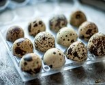 Продавам оплодени яйца от пъдпъдъци