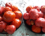 ПРОДАВАМ ДОМАТИ