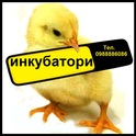 Инкубатори-Люпилни