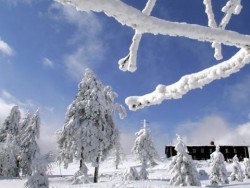 В Белоградчик падна 13 см. сняг