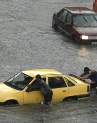 Жадни варненци вода газят