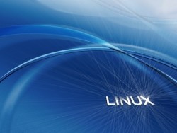 Пуснаха Linux "по поискване" през интернет