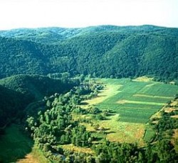 27 от 29-те отложени зони влизат в Натура 2000