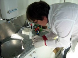 138 човека се изследваха за СПИН в мобилната лаборатория