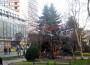 Започна монтирането на коледната украса в центъра на Ботевград