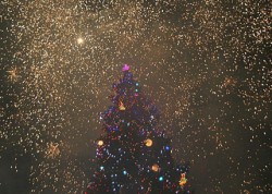 Борисов запали 15-те хил. крушки на столичното Коледно дърво