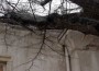 Изгнило дърво падна върху сградата на съда