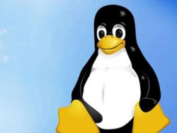 Излезе мощен Linux за корпоративния бизнес