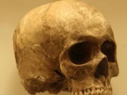 Откриха човешки череп на 100 000 години