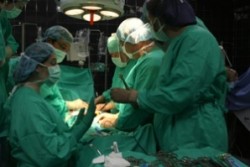 Трансплантация на черен дроб смени кръвната група на австралийче