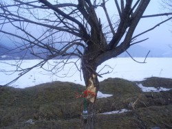 Кои са загиналите ученици в Етрополе?