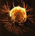 Кръвен тест открива рак още в начален стадий