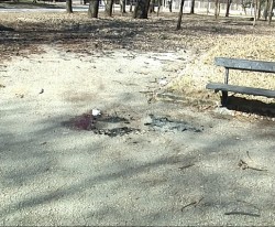 Кръв и следи от горене има по пейка в парка