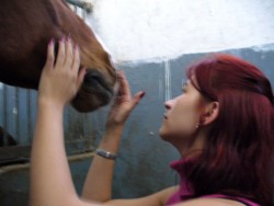 Деца с увреждания посещават два пъти в седмицата конната база в Скравена. Средствата са осигурени от фондация