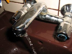 Водата на домакинство във Врачеш спряла да тече заради земноводни в цедката