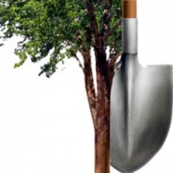 Ботевград ще се включи в инициативата “Да засадим дърво”