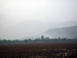 Скравена обгазена от горящото сметище