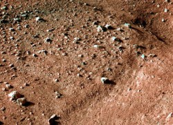 "Феникс" изпрати първи снимки от Марс