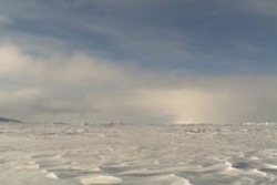 Северният полюс остава без лед през лятото?