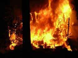 Голям горски пожар над Трудовец