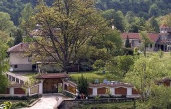 Иконата от село Бояни ще бъде изложена и във врачешкия манастир