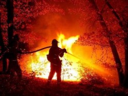 Огнеборци от Ботевград се включиха в гасеното на пожара край с. Горни Окол