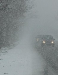 Сняг блокира туристи на Витоша. Вятър събаря дървета в Пловдив
