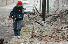 Бурята чупи дървета в София и Враца
