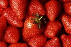 Търсят берачи на ягоди за Испания