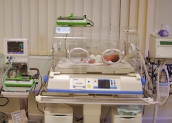 Калифорнийските седемзнаци вече дишат сами 