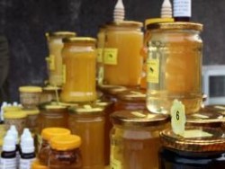 Пчелари от Ботевград ще присъстват на Международното изложение в Плевен