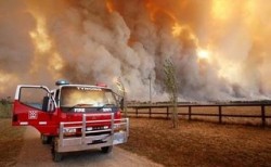 76 достигна броят на жертвите на австралийските пожари