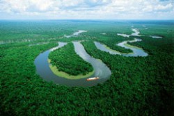 24 души загинаха при самолетна катастрофа в амазонската джунгла