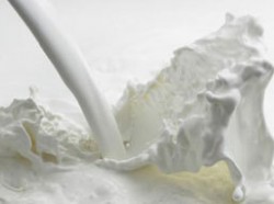 30% от суровото ни мляко отговаря на евростандартите 