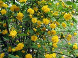 Днес е Международен ден на жените