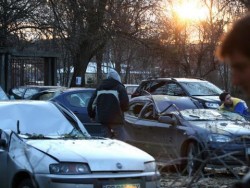 Паднала топола потроши 9 коли пред "Българска армия"