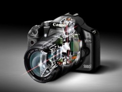 За всички почитатели на фотографията: Новият Canon EOS 500D