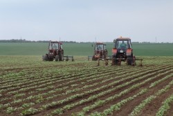 До 15 май земеделските стопани могат да подават заявления за субсидии