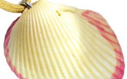 Най-древните бижута са на 110 000 години