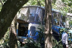 Задържаха собственика на автобуса-убиец за 72 часа