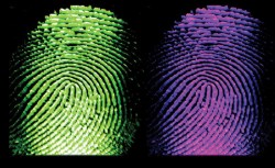Демонстрираха новата система за издаване на паспорт с биометрични данни