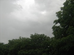 Дъжд вали над Западна България