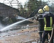 150 пожарникари гасят огъня в Свиленградско 